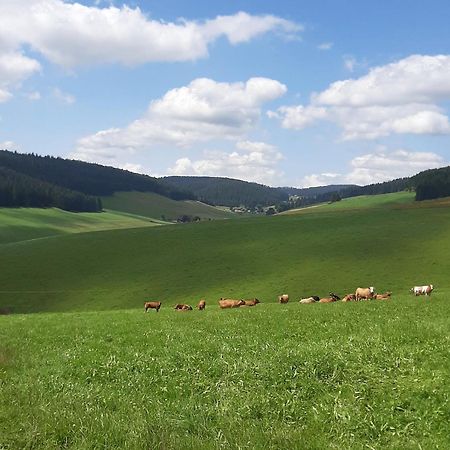 Haus Zum Sternen Apartment Vohrenbach Bagian luar foto