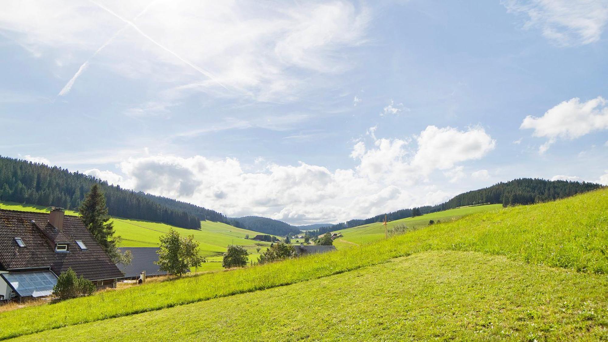 Haus Zum Sternen Apartment Vohrenbach Bagian luar foto