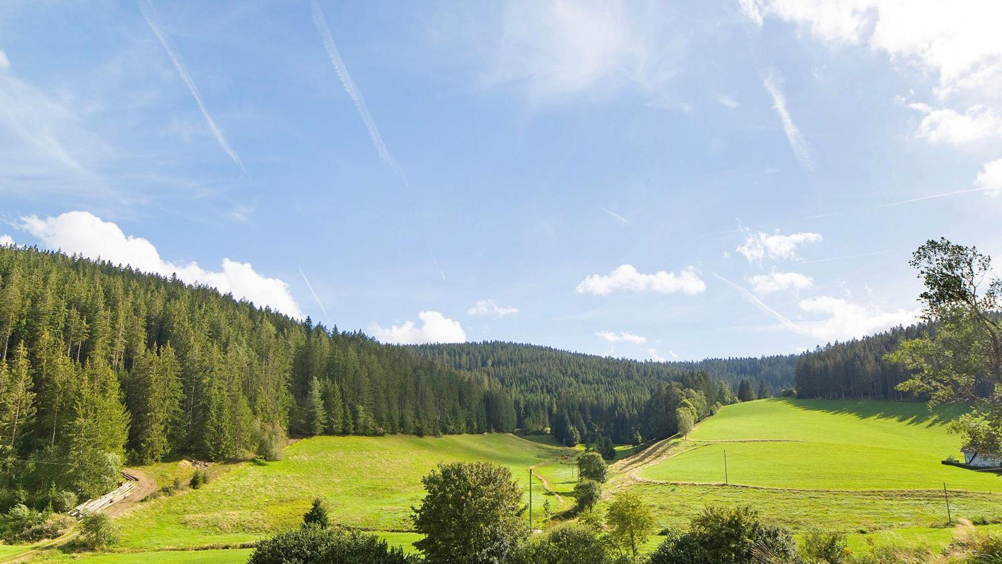 Haus Zum Sternen Apartment Vohrenbach Bagian luar foto